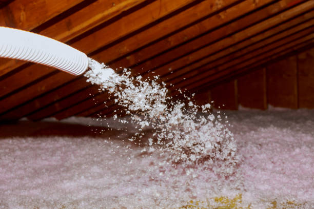 Best DIY Insulation Kits and Guidance in Fraser, CO